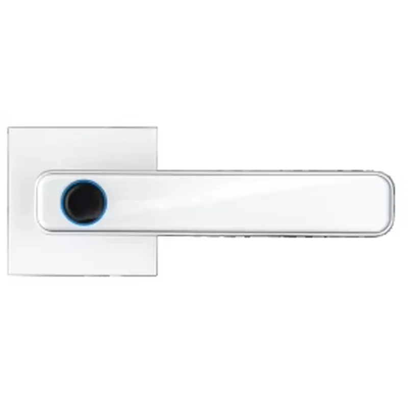 Porta Inteligente com Tela Sen - Smart Home Key avaliação e preço